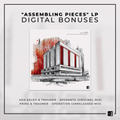 Operation (Unreleased Mix)