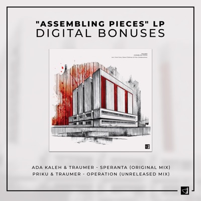 "Assembling Pieces" Lp: Digital Bonuses - Single