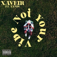 Not Your Vibe (feat. Tandy) - Single - XAVEIR