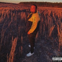 Twisted Love - Single - Lilshnee