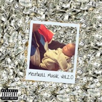 Meatroll Musik Vol. 2.0 - Fast Money Sunny