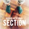 Section - Gokulacandra lyrics