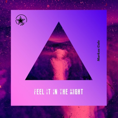 Feel It in the Night - Single