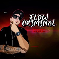Flow Criminal - Single - Iski