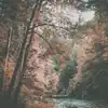 Kupla - Still Breathing