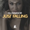 Just Falling - Single