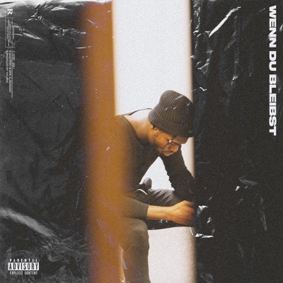 Wenn du bleibst - Single
