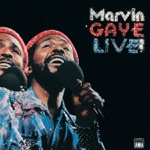 Marvin Gaye - Distant Lover