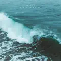  - Acoustic wave