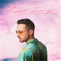 Perfect Timing - Single - Brandon Serafino