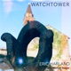 Watchtower feat Michael League Single