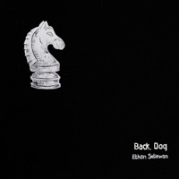 Back, Dog (feat. Mike Marshall & Joe K. Walsh) - Single - Ethan Setiawan