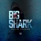 Big Shark - MalikThaGod lyrics