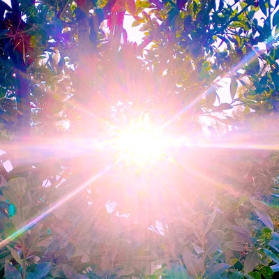 Sunshine - Single