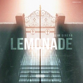 Lemonade Slim Dinero
