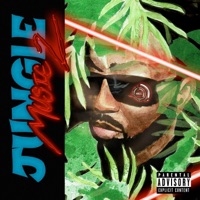 Jungle Music 2 - Evan Bailey