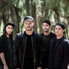 Skyleneを聴いたり、ミュージックビデオを鑑賞したり、経歴やツアー日程などを確認したりしましょう！