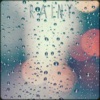 Rainy - Single