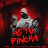 As' Tu Pincha (feat. Galan Galaneo & El Vallo) - Single - Lobo Malo