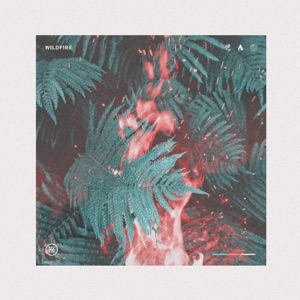 Wildfire (feat. Philip Strand) - Single