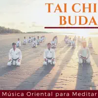 Viva Melhor — Santiago Tai Chi