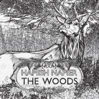 The Woods by Hamish Napier on Apple Music