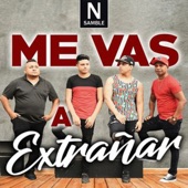 Me Vas A Extrañar artwork