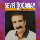 Hasret Bana Dertler Bana song art