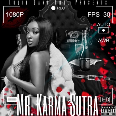 Mr. Karma Sutra
