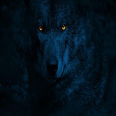 Flow de Capos (feat. The Gouss & Camikazy) - Single