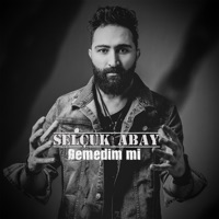 Demedim mi - Single - Selçuk Abay