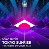 Tokyo Sunrise (Transient Disorder Remix) cover art