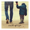 Walk of Life - bzur