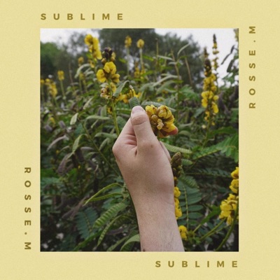 Sublime - Single