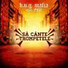 b.u.g. mafia - Sa Cante Trompetele (feat. Feli)