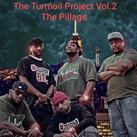 Check Your Ig (feat. Holla, Mike Marvel, Blass4me & Big Migz) The Turmoil Project