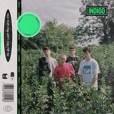 You'll Never Know What's Good for You - EP