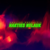 Saulius Prūsaitis - Nakties Nelauk