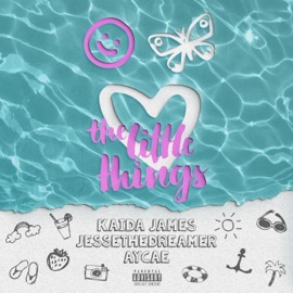 The Little Things AYCAE, Kaida James & JesseTheDreamer