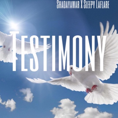 Testimony (feat. Sleepy Laflare) - Single