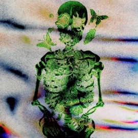 Forbidden PrettyBoyZero