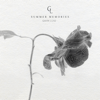 Summer Memories - EP - Gavin Luke