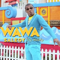 Tsy Meloko - Single - Wawa Salegy