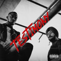 Testimony - Single - Malo on the Beat & Muzzle