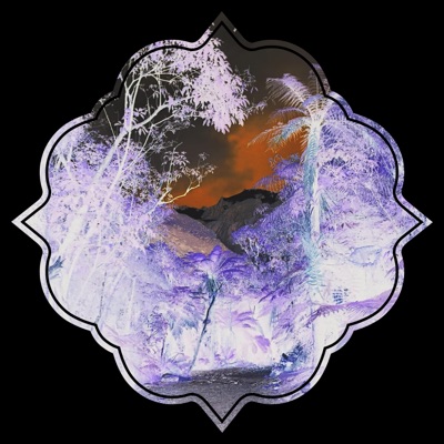 Gotta Be Real (Instrumental) - Single