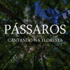 Pássaros Cantando na Floresta - Sons da Natureza Projeto ECO Brasil