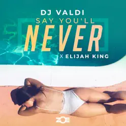 Say You'll Never - Single - Dj Valdi Say You'll Never - Single - Dj Valdi