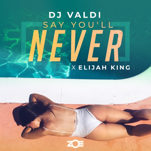 Say You'll Never - Single