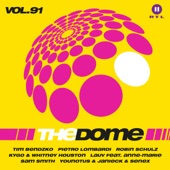 The Dome, Vol. 91 artwork