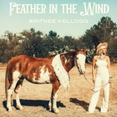 Feather in the Wind artwork